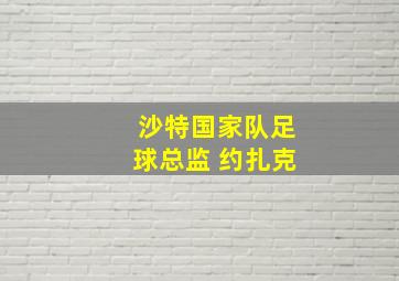 沙特国家队足球总监 约扎克